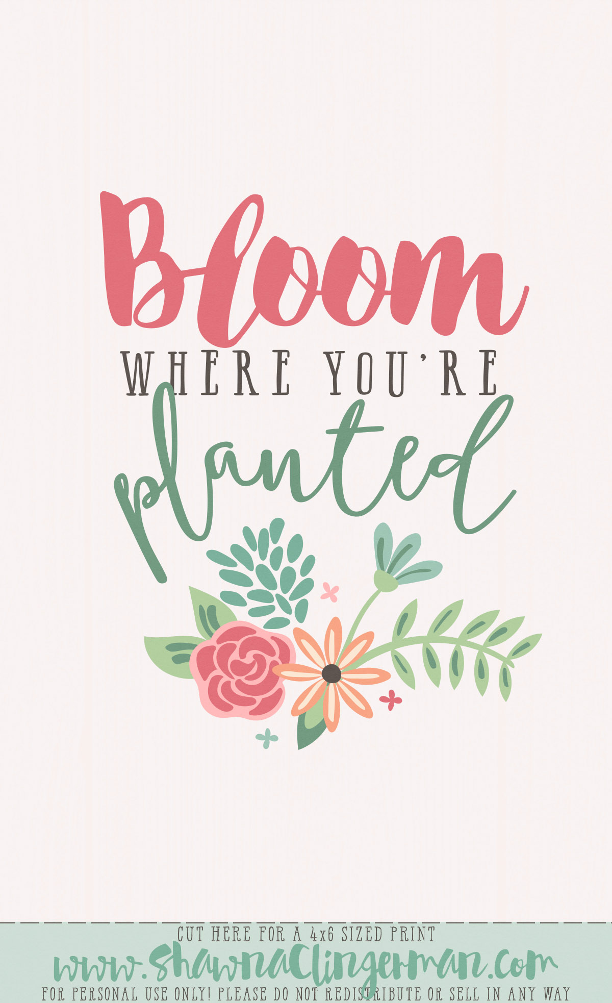 Bloom + FREE goodies! • Shawna Clingerman